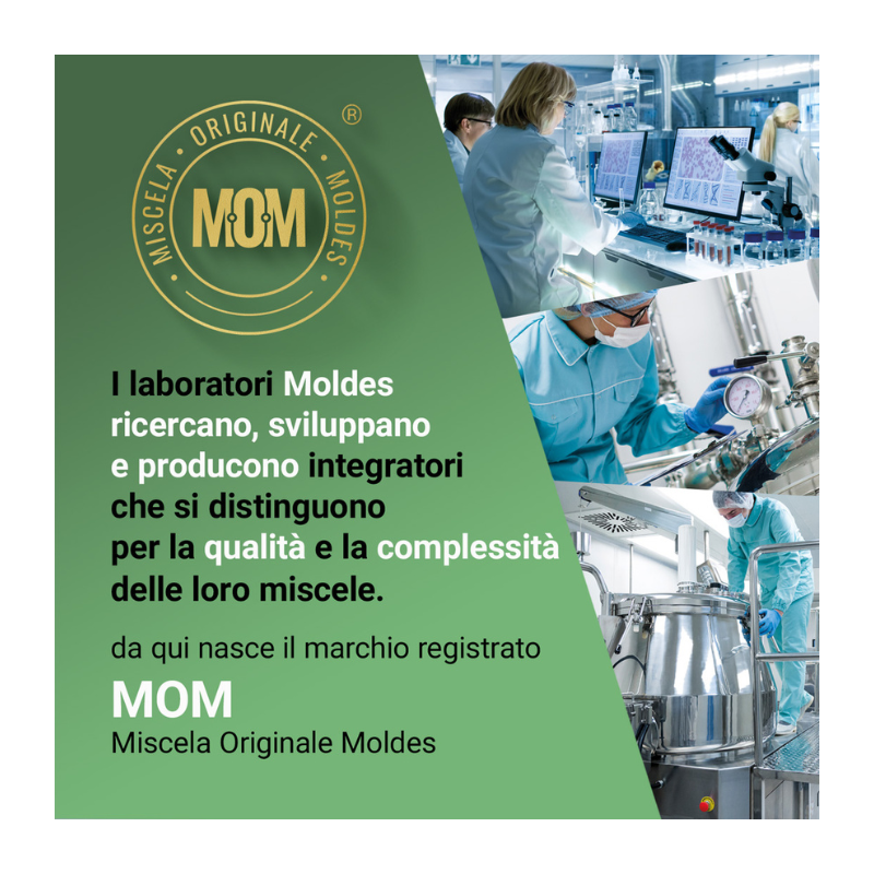 LIPOX NS12 - Integratore Brucia Grassi